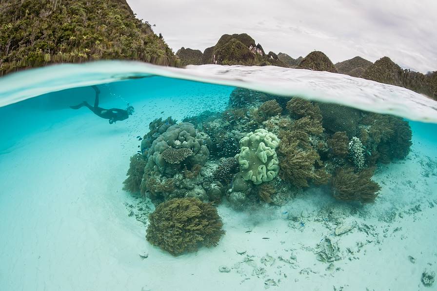 Archipel des Raja Ampat - Indonésie © ead72 - stock.adobe.com