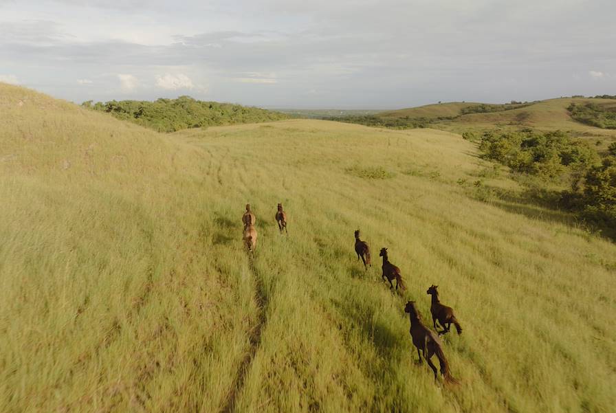 Sumba - Indonésie © Pie Aerts