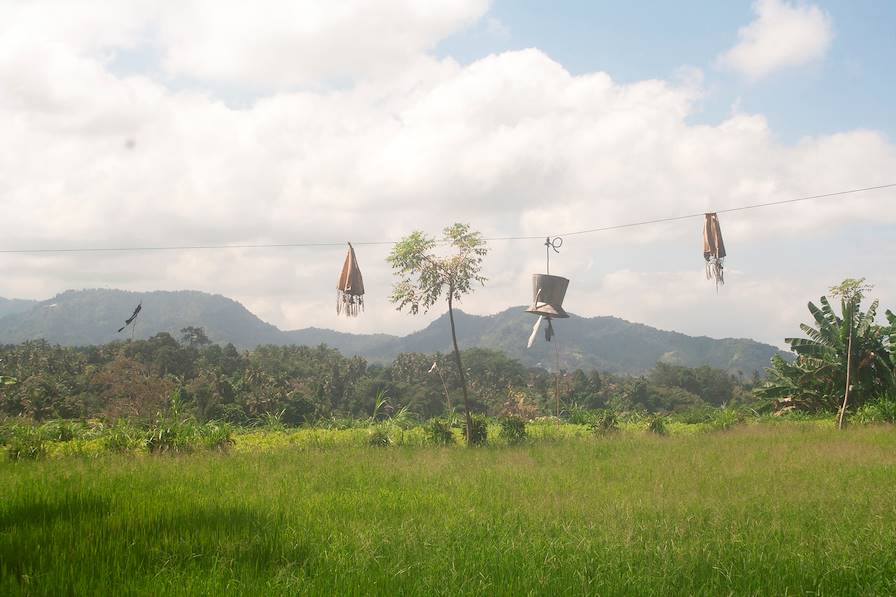 Bali - Indonésie © Marie Champenois