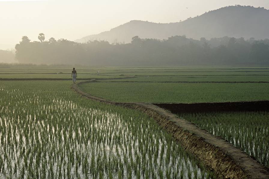 Kerala - Inde © DX / Fotolia