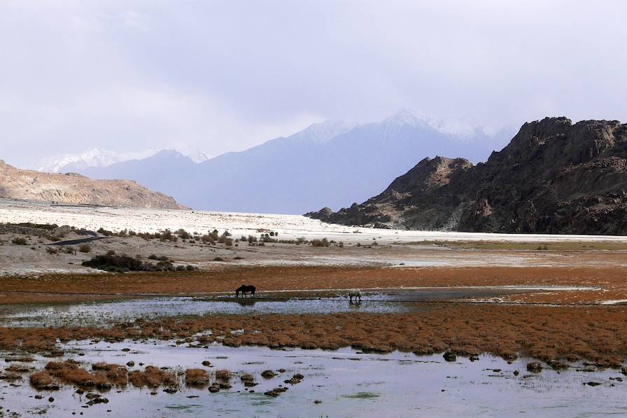 Sumur - Ladakh - Inde © Droits reservés