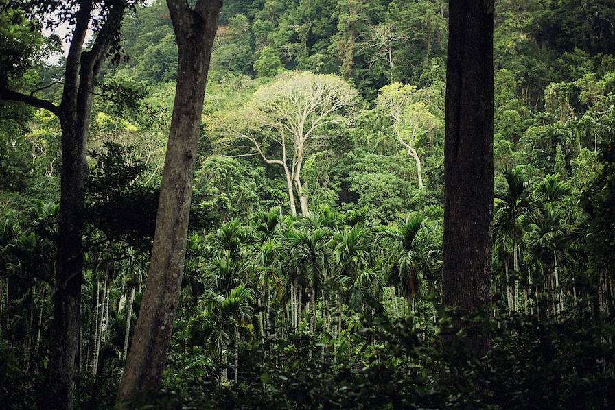 Îles Andaman © Julien Mignot