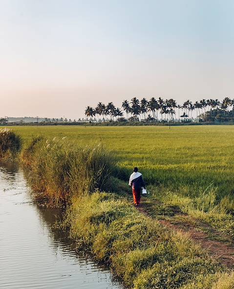 Kerala - Inde © Jérôme Galland