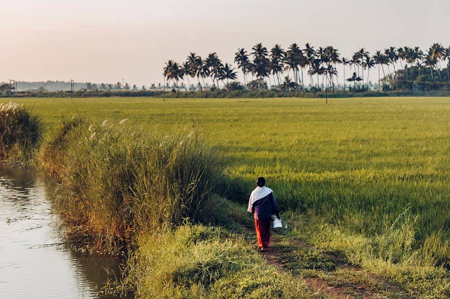 Kerala - Inde © Jérôme Galland