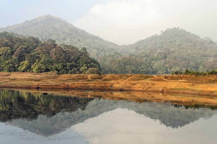 Lac Periyar - Inde © Veronica Bogaerts/Getty Images/iStockphoto