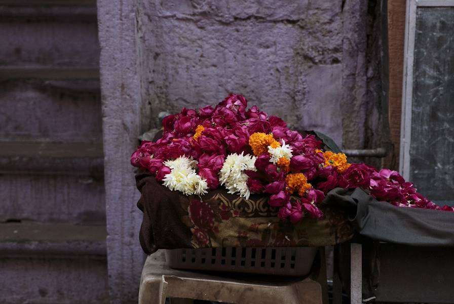 Fleurs - Jodhpur - Inde © Sara Hylton/REDUX-REA