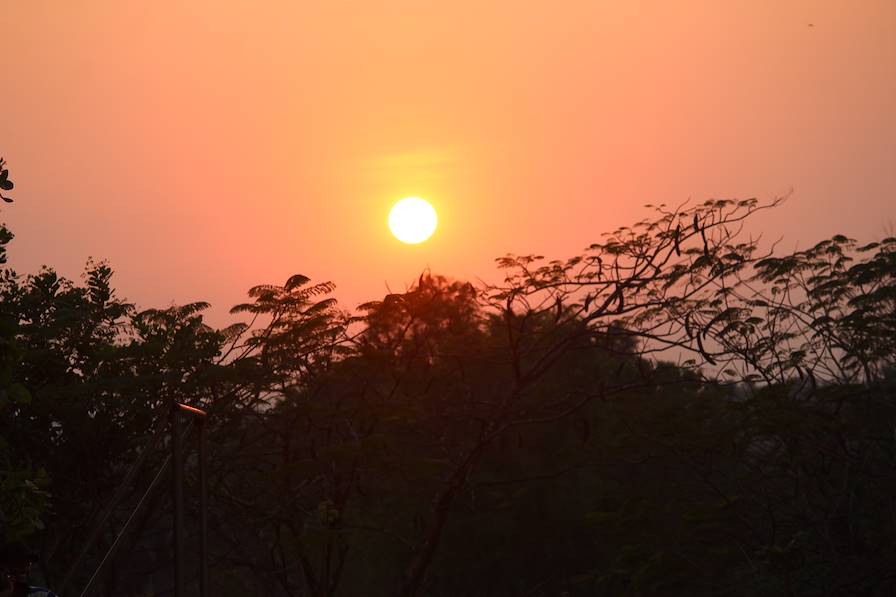 Parc national et sanctuaire faunique de Gir - Gugarat - Inde © MANOJ - stock.adobe.com