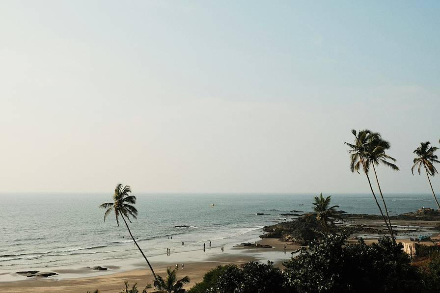 Kerala - Inde © Austin Curtis/Unsplash