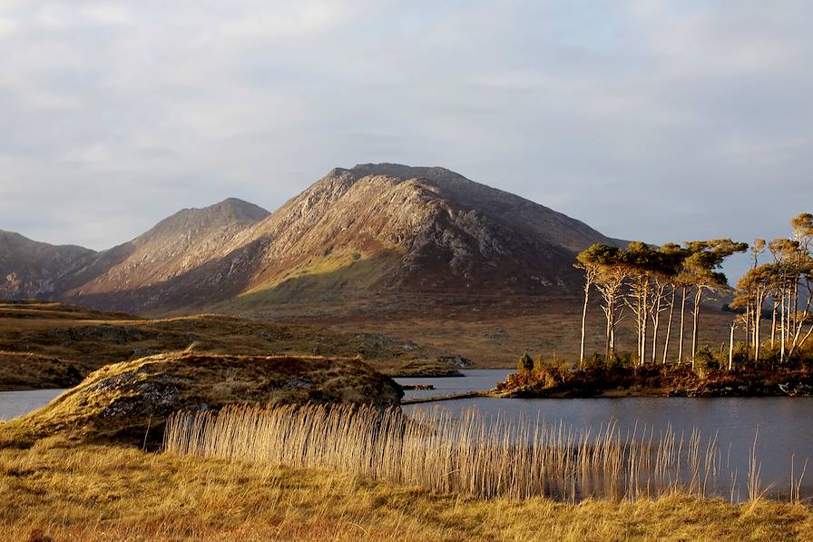 Connemara - Irlande © Kieran Dodds/PANOS-REA