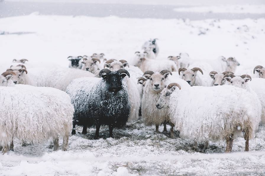 Islande © Getty Images/iStockphoto