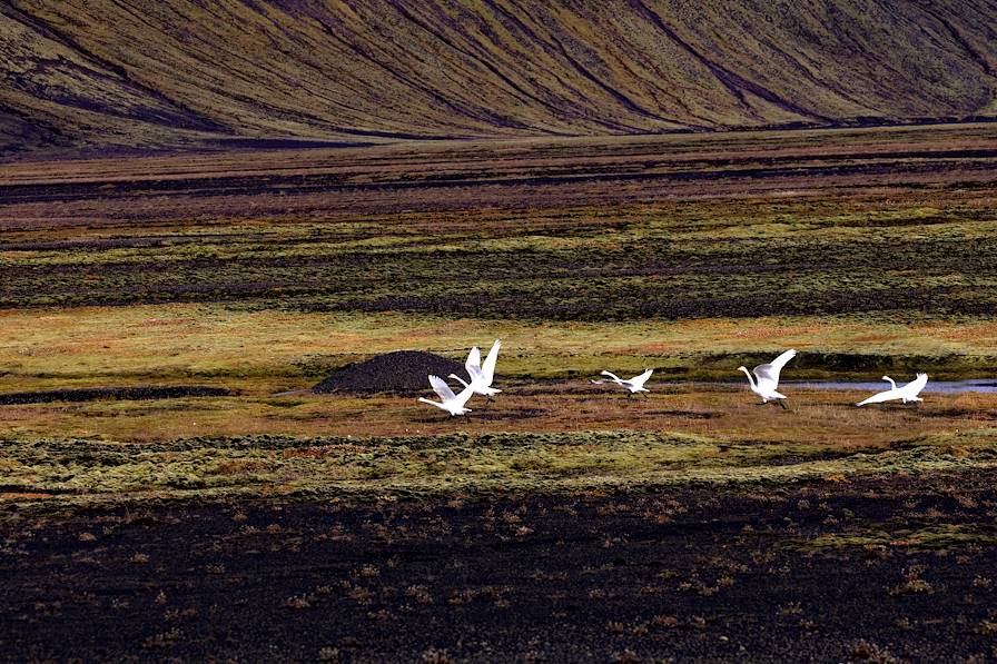 Langisjór - Islande © Matthieu Ricard