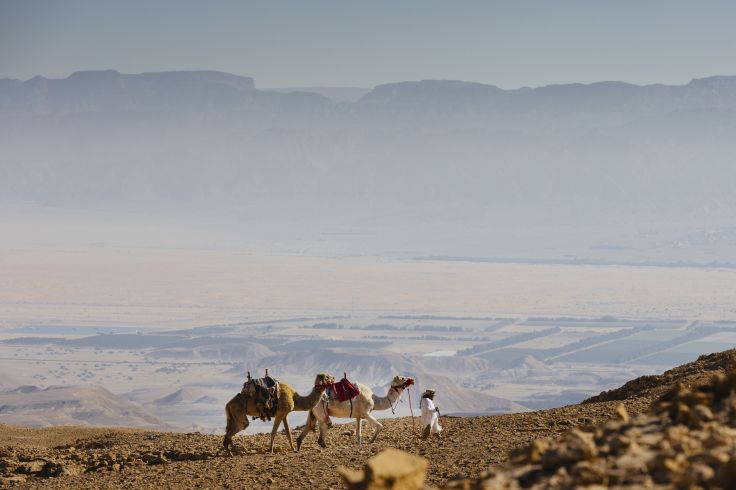 Desert du Néguev - Israël © Droits réservés