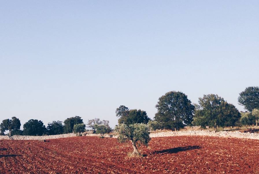 Pouilles - Italie © Olivier Romano