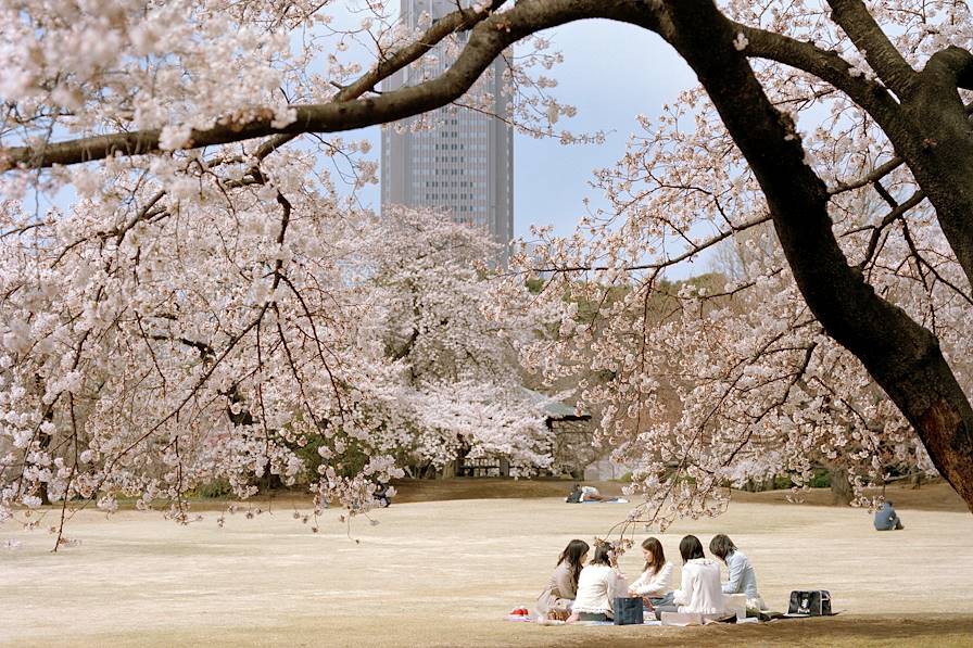 Japon © Vincent Leroux