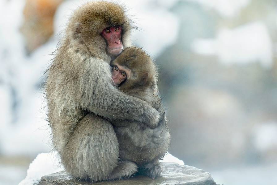 Nozawa Onsen © Getty Images/Unsplash