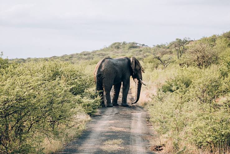 Ladysmith - KwaZulu-Natal - Afrique du Sud © Olivier Romano