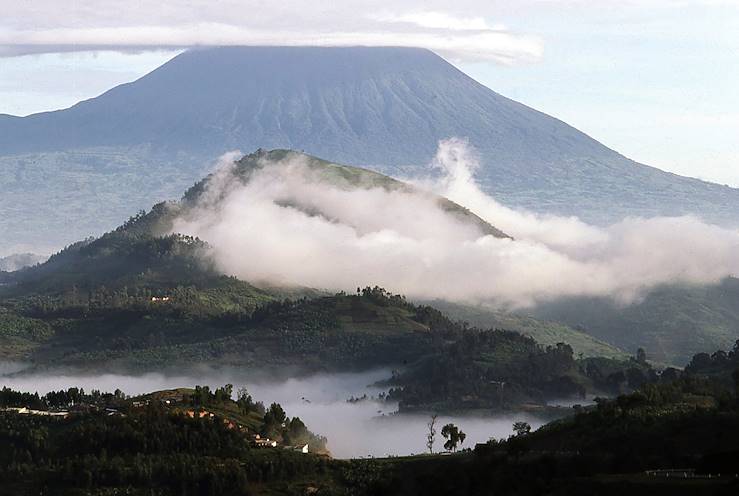 Parc national des Volcans - Rwanda © Robert Ford/Getty Images/iStockphoto