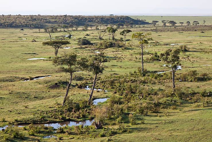 Réserve nationale du Masai Mara - Kenya © DenGuy/iStock/Getty Images Plus