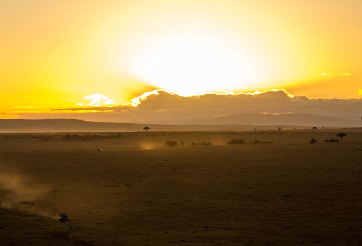 Réserve nationale du Masai Mara - Kenya © Asoda Photography/iStock /Getty Images Plus