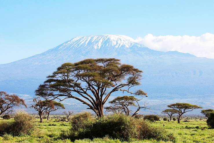 Mont Kenya © Gianfranco Bella/stock.adobe.com