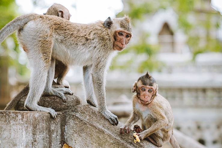 Cambodge © Joann Pai