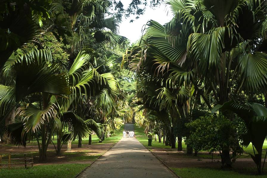 Jardin botanique de Peradeniya - Kandy - Sri Lanka © madai/Fotolia