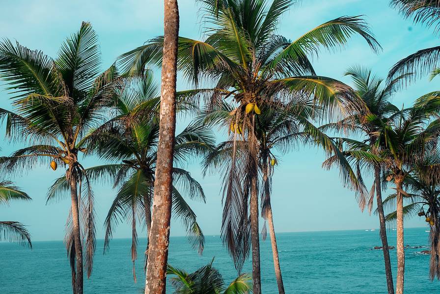 Sri Lanka © Tomasz Ganclerz/Getty Images/iStockphoto