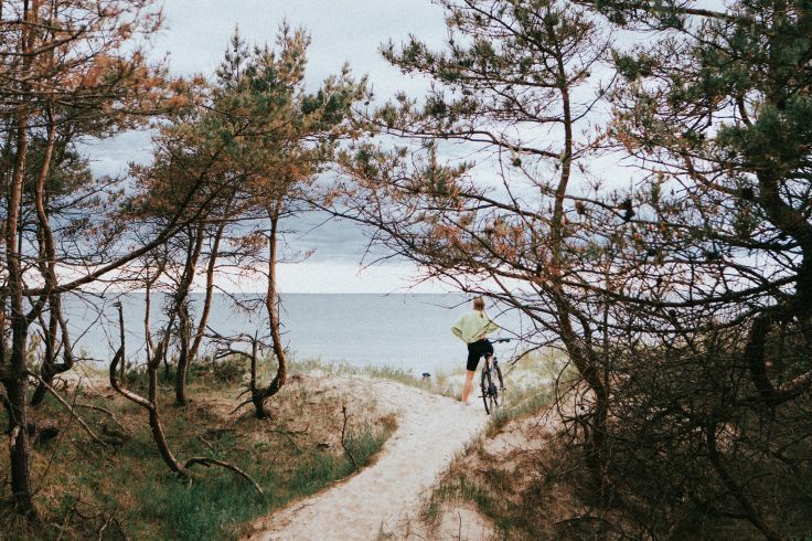 Lituanie © Arturas Kokorevas/Pexels