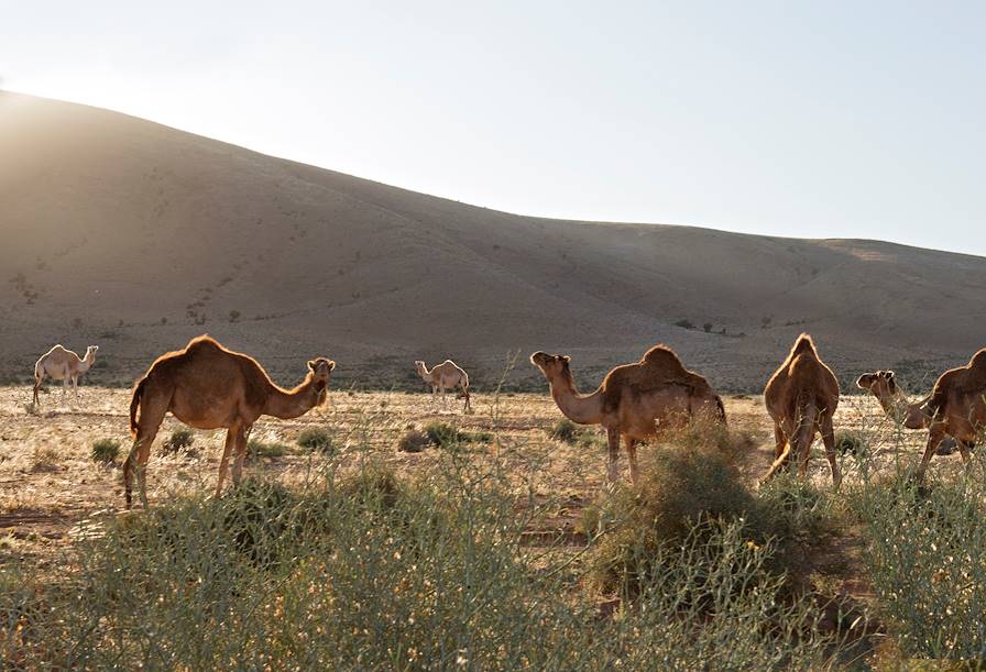 Tighmert - Maroc © Maisons des Rêves