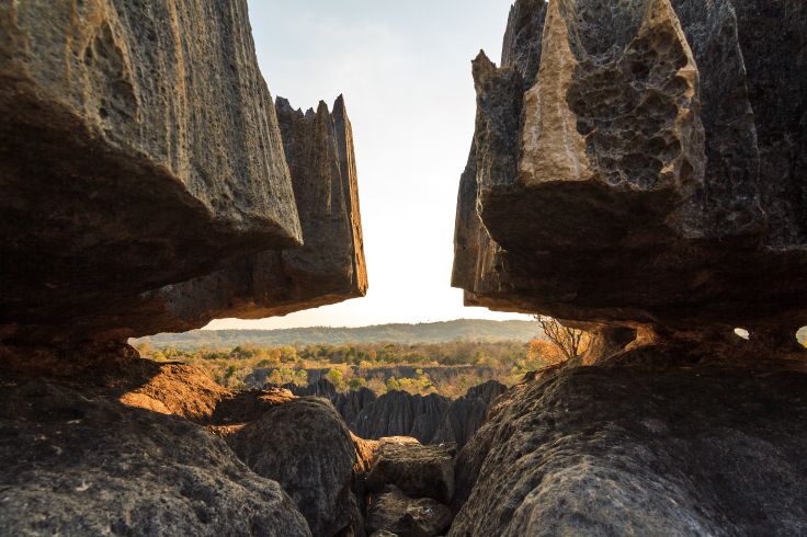 Tsingy de Bemaraha - Bekopaka - Madagascar © Dennisvdw/Getty Images/iStockphoto