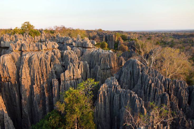 Tsingy de Bemaraha - Bekopaka - Madagascar © Dennisvdw/Getty Images/iStockphoto