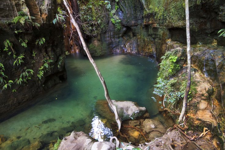 Parc national de l'Isalo - Madagascar © dennisvdw/Getty Images/iStockphoto