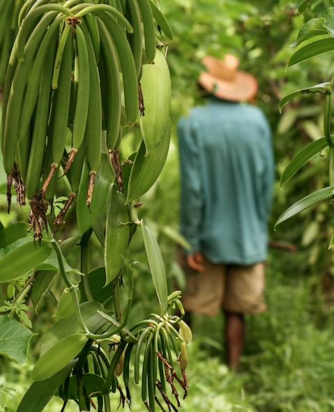 Madagascar © adobe stock