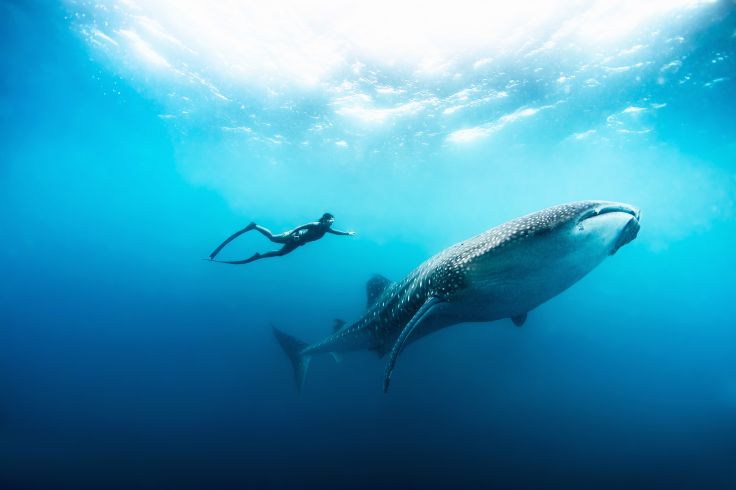 Kunfunadhoo - Maldives © Droits Réservés