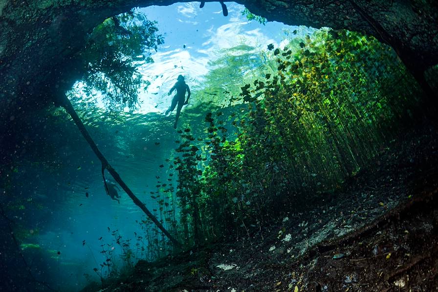 Yucatan - Mexique © Andrea Izzotti / Adobe Stock