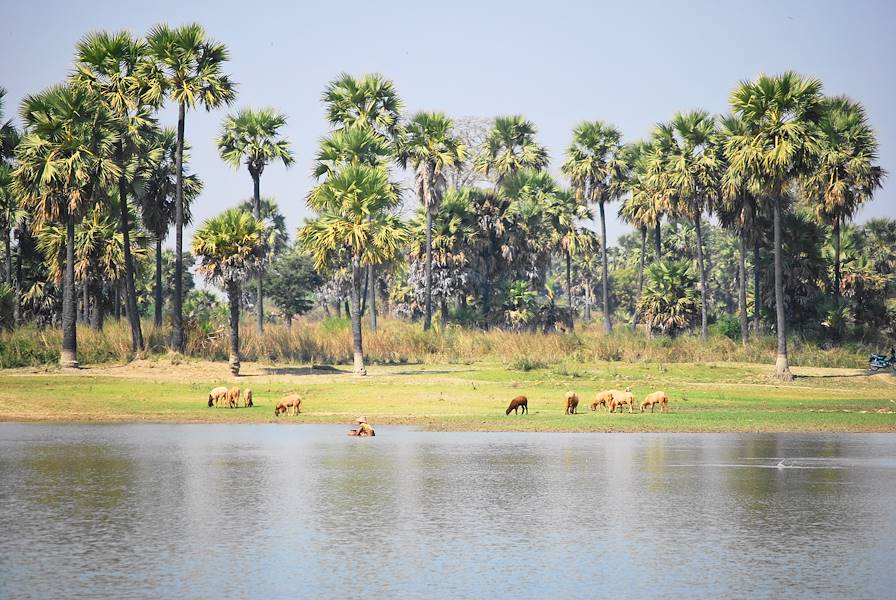 Autour de Bagan - Birmanie © Frédéric Poirier