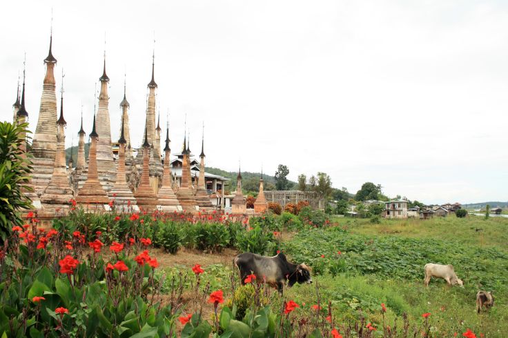 Takkhaung Mwedaw - Sagar - Birmanie © Marie Joffres