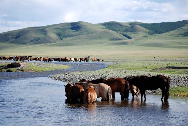 Mongolie © Ariane Citron / Fotolia