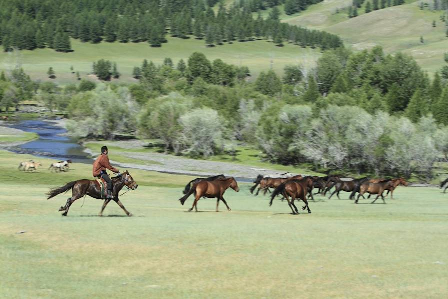 Vallée de l'Orkhon - Mongolie © heckepics/Getty Images/iStockphoto