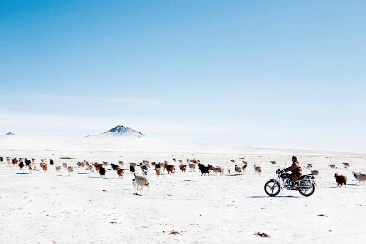 Mongolie © 2013 by ZUMA Wire/ZUMA/REA