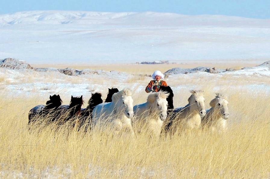 Mongolie © Pei Guoqing/XINHUA-REA