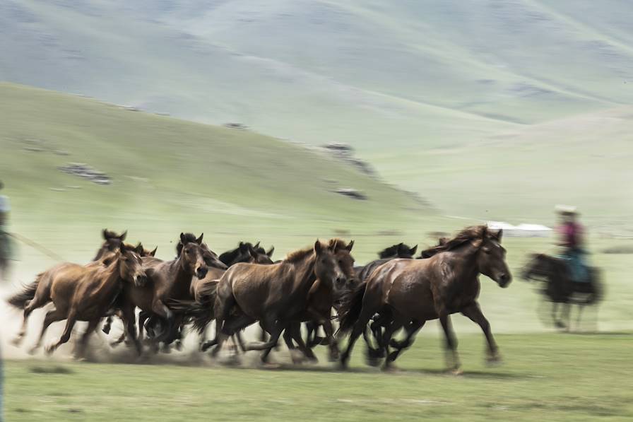 Orkhon - Mongolie © Droits reservés