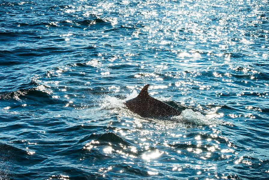 Ile Maurice © George Clerk/Getty Images/iStockphoto