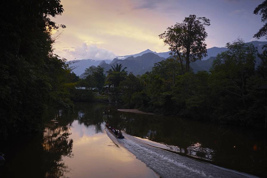 Mulu - Malaisie © Droits reservés