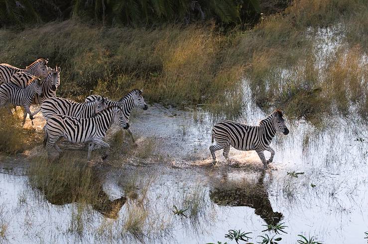 Delta de l'Okavango - Botswana © Dana Allen / Wilderness Safari