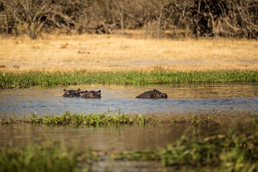 Khwai - Botswana © Droits reservés