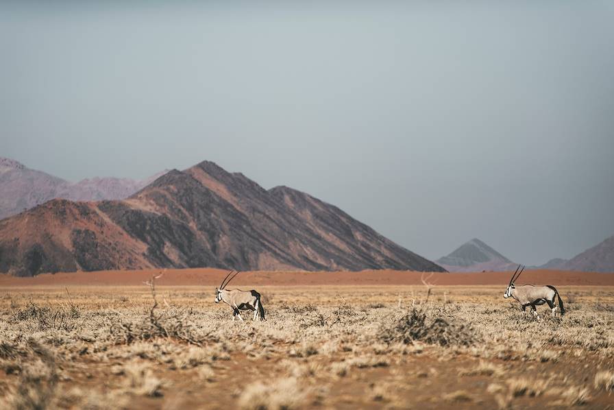 Sossusvlei - Désert du Namib - Namibie © Un Cercle