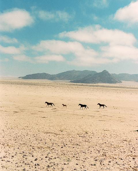 Namibie © Jackie Cole