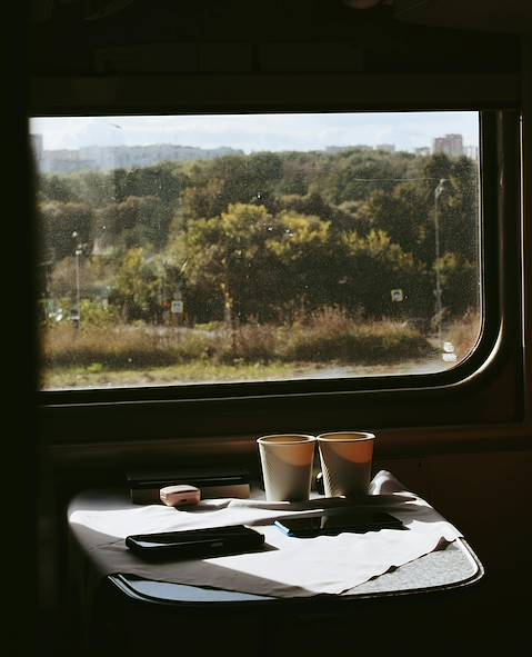 train © darya grey pexels