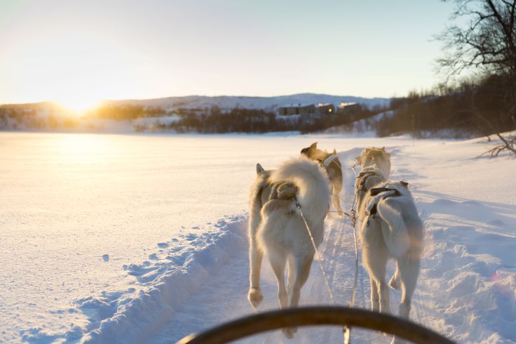 Région de Kirkenes - Norvège © Gerald Haenel/LAIF-REA